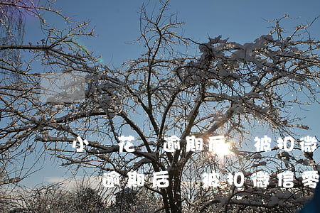 小鵝花錢逾期后會被扣微信零錢嗎-小鵝花錢逾期后會被扣微信零錢嗎是真的嗎