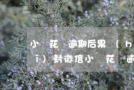 小鵝花錢逾期后果會(huì)不會(huì)封微信(小鵝花錢逾期對(duì)微信有影響嗎)