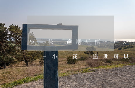 小鵝花錢逾期后能協(xié)商二次分期嗎-小鵝花錢逾期可以協(xié)商分期還款嗎