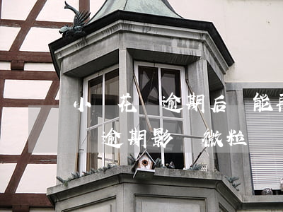 小鵝花錢逾期后還能再用微粒貸嗎-小鵝花錢逾期影響微粒貸嗎