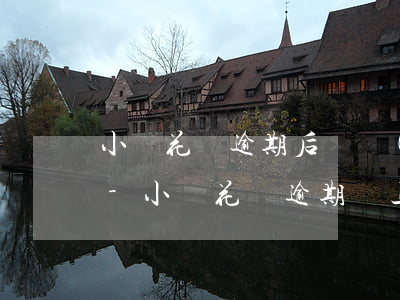小鵝花錢逾期后還進(jìn)去還能用嗎-小鵝花錢逾期還上還能用嗎