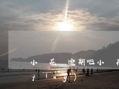 小鵝花錢逾期吧(小鵝花錢逾期2年親身經(jīng)歷)
