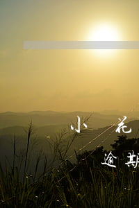 小鵝花錢逾期多長時間要全額還款-小鵝花錢逾期幾天要還全款