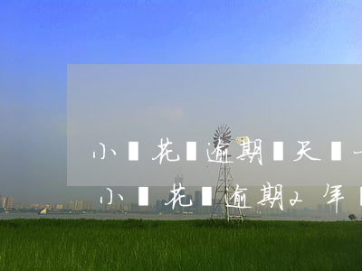 小鵝花錢逾期幾天讓一次性結(jié)清(小鵝花錢逾期2年親身經(jīng)歷)