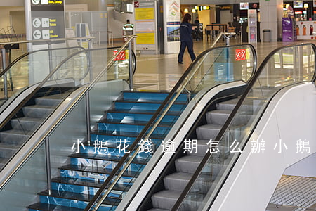 小鵝花錢逾期怎么辦(小鵝花錢逾期咋辦)