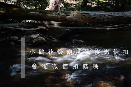 小鵝花錢逾期會從微信扣錢嗎(小鵝花錢逾期會從微信扣錢嗎)