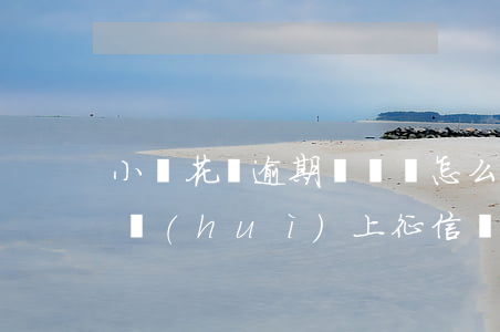 小鵝花錢逾期沒錢還怎么辦(小鵝花錢逾期了會(huì)上征信嗎)