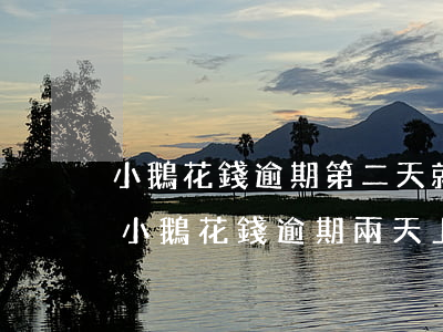 小鵝花錢逾期第二天就說要交材料什么的-小鵝花錢逾期兩天上征信嗎