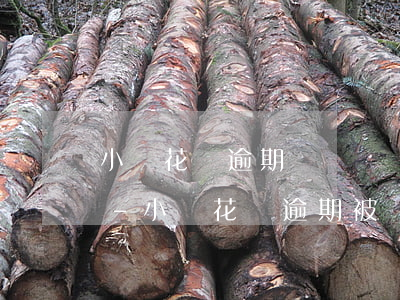 小鵝花錢逾期賬戶凍結(jié)了怎么辦-小鵝花錢逾期被凍結(jié)了怎樣辦