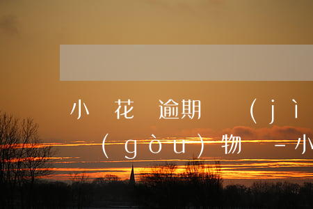 小鵝花錢逾期還進(jìn)去后還能用于購(gòu)物嗎-小鵝花錢逾期還完還能用嗎