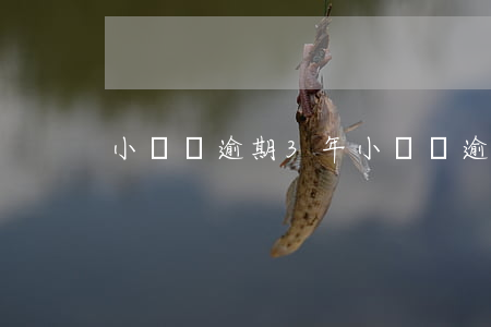 小鵝貸逾期3年 小鵝貸逾期3年后開始催收