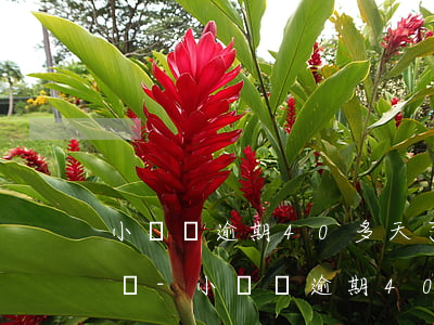 小鵝貸逾期40多天了會(huì)被起訴嗎-小鵝貸逾期40多天了會(huì)被起訴嗎知乎