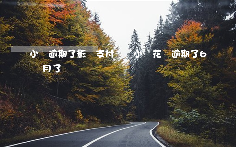 小鵝逾期了影響支付寶嗎(小鵝花錢逾期了6個月了)