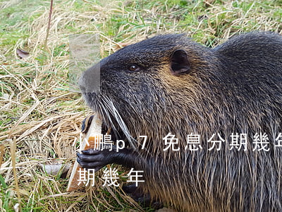 小鵬p7免息分期幾年還款（小鵬p7免息分期幾年）