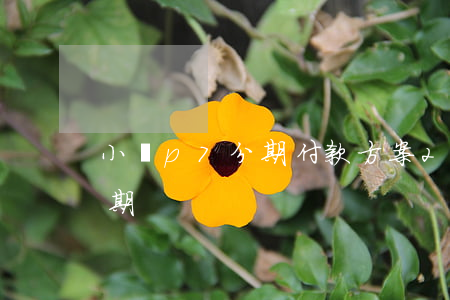 小鵬p7分期付款方案2022 小鵬p7 分期