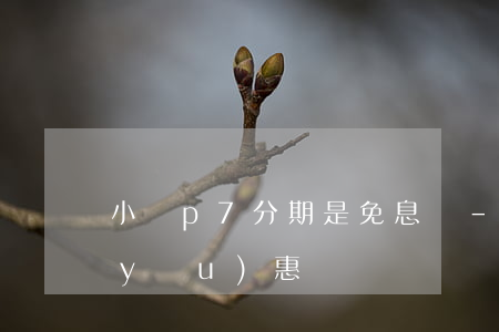 小鵬p7分期是免息嗎-小鵬p7貸款優(yōu)惠嗎