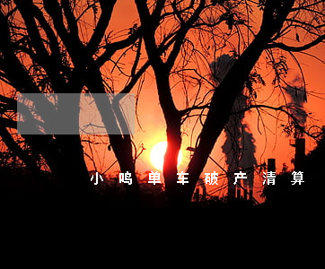 小鸣单车破产清算