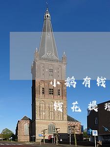 小鹅有钱花怎么设置还款微信提醒-小鹅有钱花提现要收利息吗