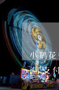 小鹅花微信支付限制怎（小鹅花逾期会影响微信支付么）
