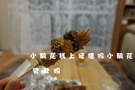 小鹅花钱上征信吗(小鹅花钱上征信吗,会影响贷款吗)