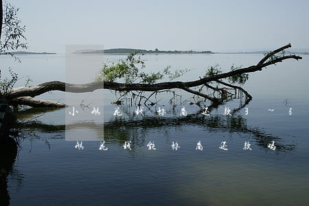小鹅花钱协商还款3~5个工作日回复-小鹅花钱能协商还款吗