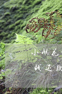 小鹅花钱还款日当天还款算逾期么-小鹅花钱还款日当天还款算逾期么吗
