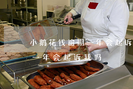 小鹅花钱逾期一年会起诉我吗(小鹅花钱逾期一年会起诉我吗)