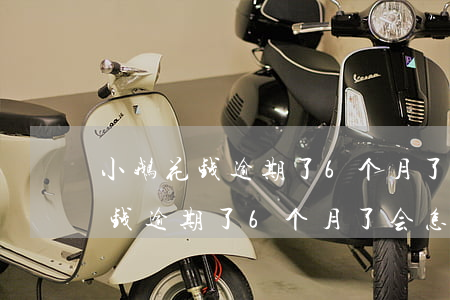 小鹅花钱逾期了6个月了会怎么样-小鹅花钱逾期了6个月了会怎么样吗