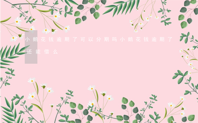 小鹅花钱逾期了可以分期吗(小鹅花钱逾期了还能借么)