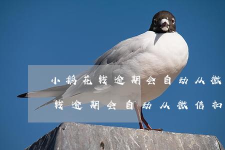 小鹅花钱逾期会自动从微信扣款吗-小鹅花钱逾期会自动从微信扣款吗