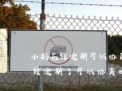 小鹅花钱逾期可以协商分期还款吗-小鹅花钱逾期了可以协商吗
