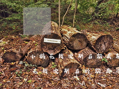 小鹅花钱逾期后额度解冻方法，如何解决小鹅花钱逾期后的额度冻结问题？