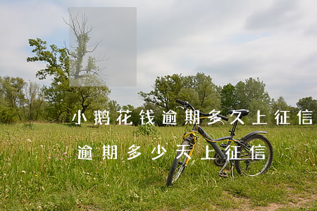 小鹅花钱逾期多久上征信黑名单-小鹅花钱逾期多少天上征信