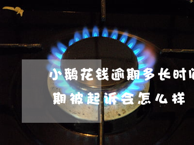 小鹅花钱逾期多长时间会被起诉(小鹅花钱逾期被起诉会怎么样)