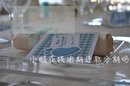 小鹅花钱逾期还能分期吗