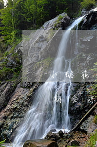 小鹅花钱逾期额度冻结怎么解冻（小鹅花钱逾期会冻结微信吗）