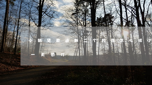 小鹅贷款逾期二个月会怎么样（小鹅贷款逾期一天恐吓）
