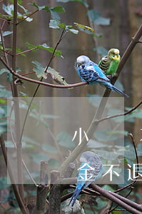 小黃車不退押金可以向法院起訴嗎(小黃車押金不退為什么不用承擔(dān)責(zé)任)