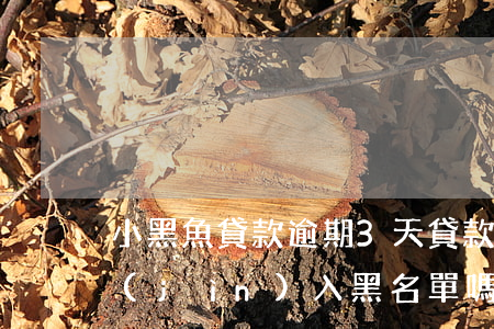 小黑魚貸款逾期3天(貸款逾期一個星期會進(jìn)入黑名單嗎)