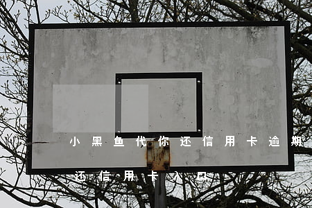 小黑鱼代你还信用卡逾期征信吗-小黑鱼代还信用卡入口