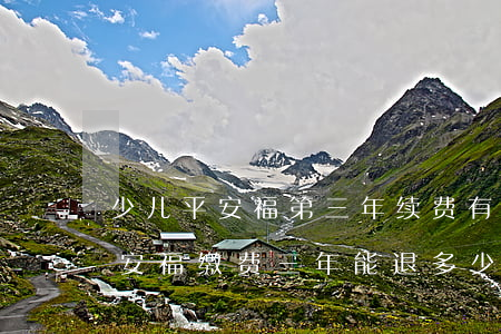 少儿平安福第三年续费有没有逾期-少儿平安福缴费三年能退多少钱