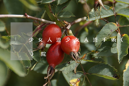 少女人流，少女人流手術(shù)醫(yī)院
