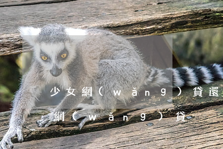 少女網(wǎng)貸還不起以身體(女子欠網(wǎng)貸)