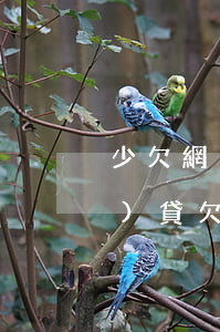 少欠網(wǎng)貸怎么辦(網(wǎng)貸欠的太多怎么辦)