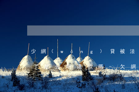 少網(wǎng)貸被法院執(zhí)行了能分期還款嗎-欠網(wǎng)貸被法院執(zhí)行了還能協(xié)商減免還款嗎