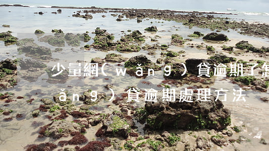 少量網(wǎng)貸逾期了怎么辦(網(wǎng)貸逾期處理方法)