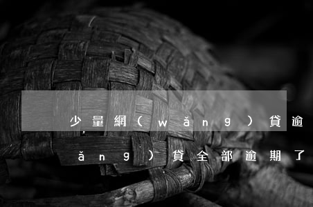 少量網(wǎng)貸逾期如何處理(網(wǎng)貸全部逾期了怎么辦)
