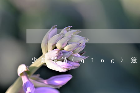 少離婚請(qǐng)簽字