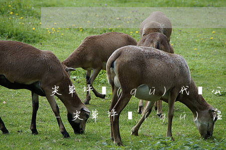 尖草坪區(qū)代辦公司逾期申報哪家好-尖草坪區(qū)注冊公司