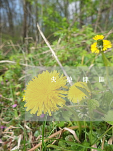 尖草坪區(qū)債務抵消律師